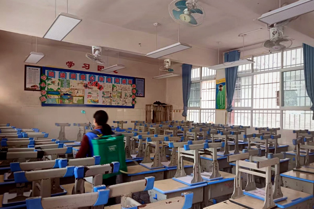 民族小学四害防治服务